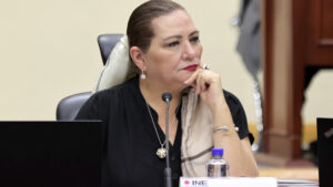Guadalupe Taddei | INE