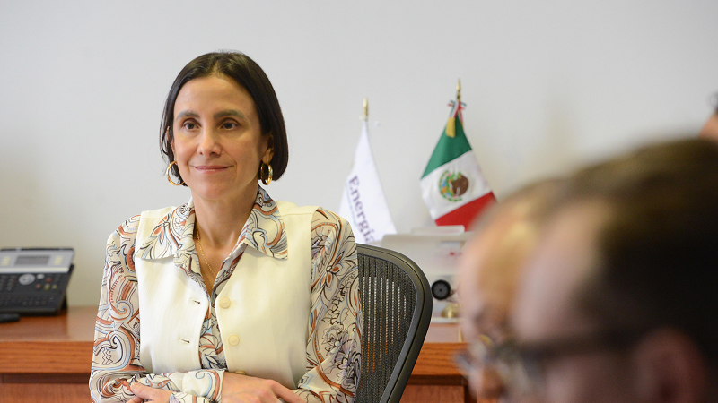 Luz Elena González Escobar | Secretaría de Energía