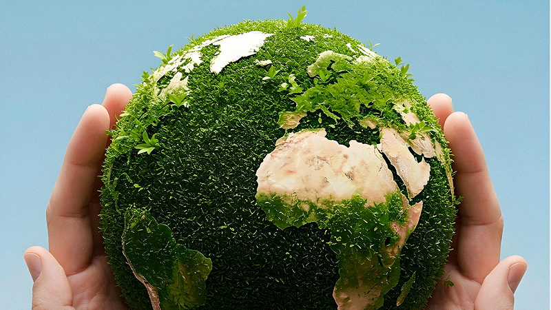 COP30: cómo se sienten los mexicanos frente al cambio climático