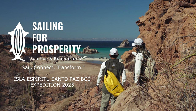 Impulsa S4P acciones de regeneración marina en el Mar de Cortés