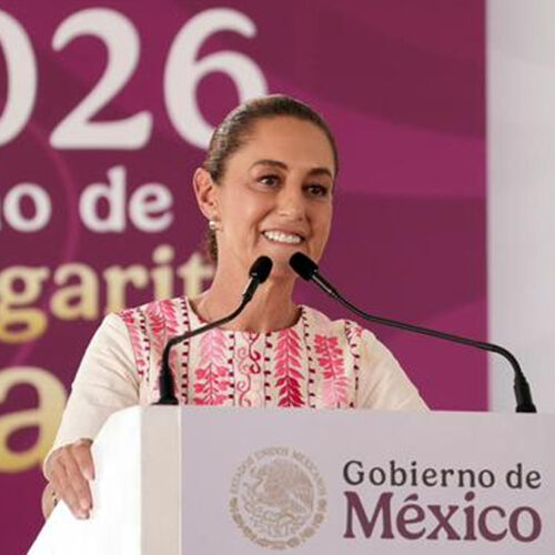 Reforma Electoral, PT y PVEM, de no dar el brazo a torcer a doblar las manos