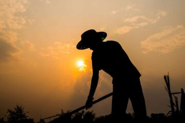 Desatenciones e inseguridad