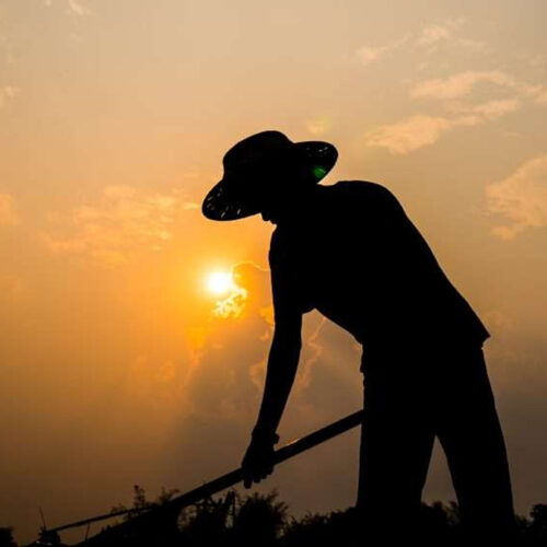 Desatenciones e inseguridad