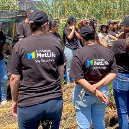 MetLife Foundation fortalece el impacto social en América Latina a través de nuevas subvenciones