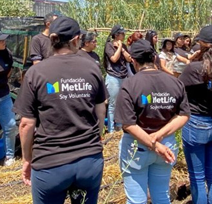 MetLife Foundation fortalece el impacto social en América Latina a través de nuevas subvenciones