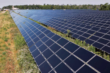 La agrivoltaica emerge como respuesta a la vulnerabilidad climática en el campo