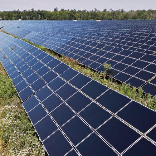 La agrivoltaica emerge como respuesta a la vulnerabilidad climática en el campo