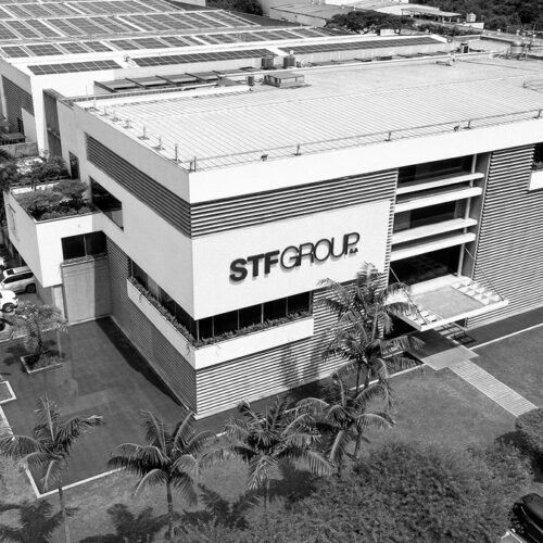 “Nuevo Capítulo” para STF Group
