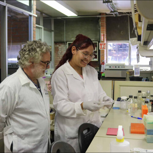 Las trampas de la UNAM y la pesadilla de cada año