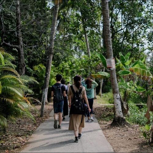 Auge del turismo de aventura para 2026