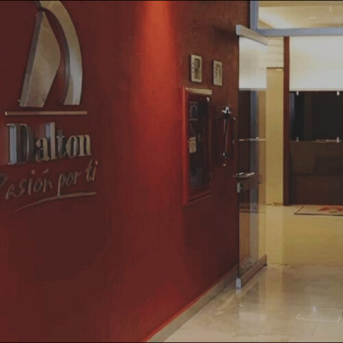 Dalton al negocio de robots chinos