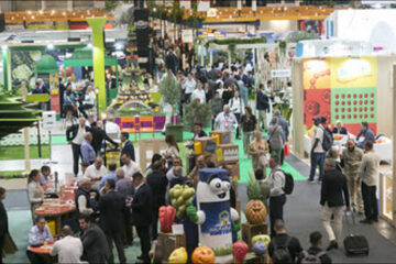 Presencia de México en Fruit Attraction 2026 y su impacto mundial