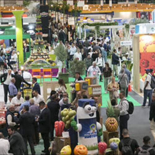 Presencia de México en Fruit Attraction 2026 y su impacto mundial