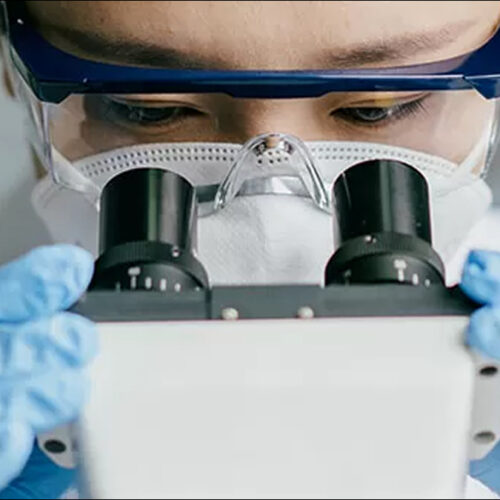 Pfizer trae investigación