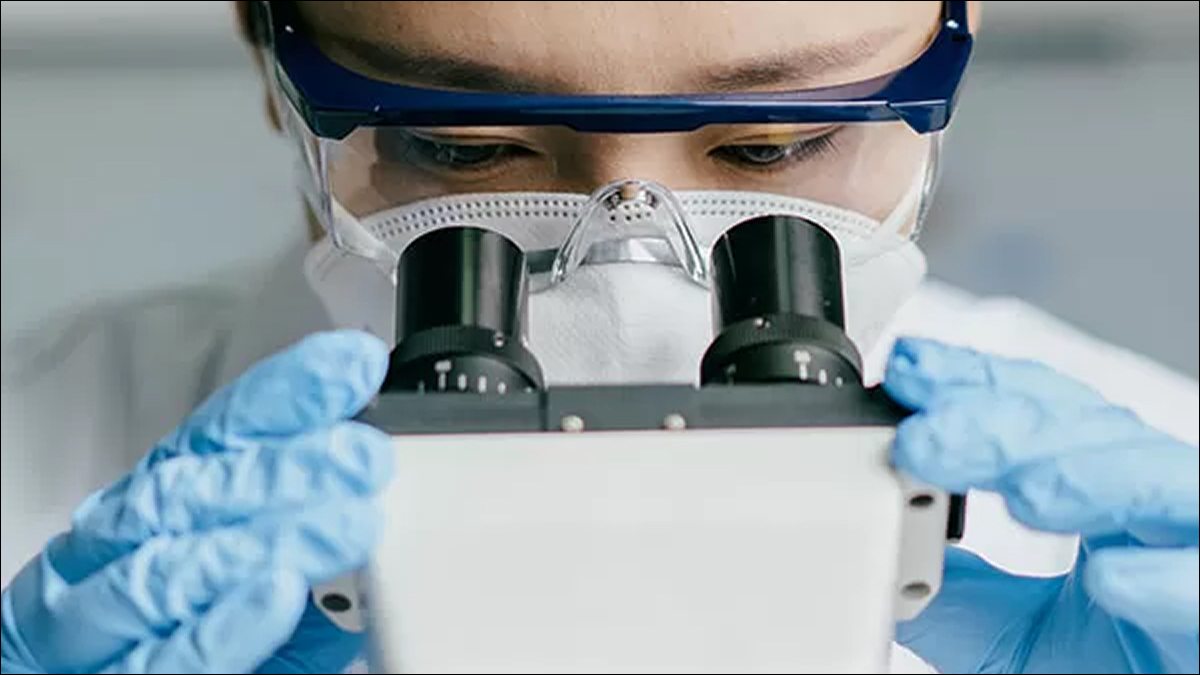 Pfizer trae investigación