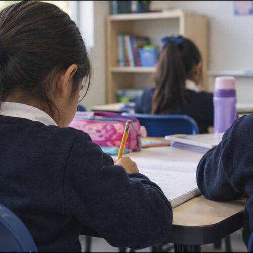 Red nacional de apoyo infantil