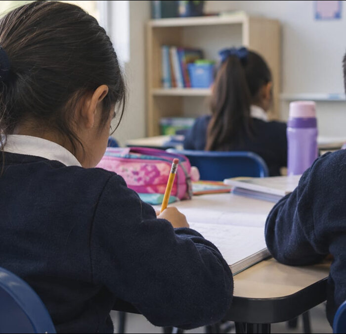 Red nacional de apoyo infantil