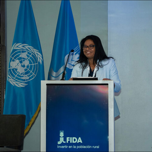 Inversión rural para la resiliencia económica y la seguridad alimentaria en América Latina